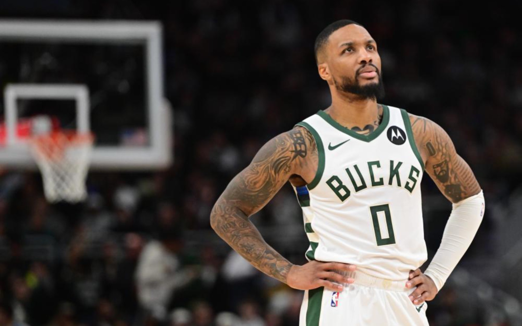 中期引入小 中期引入小